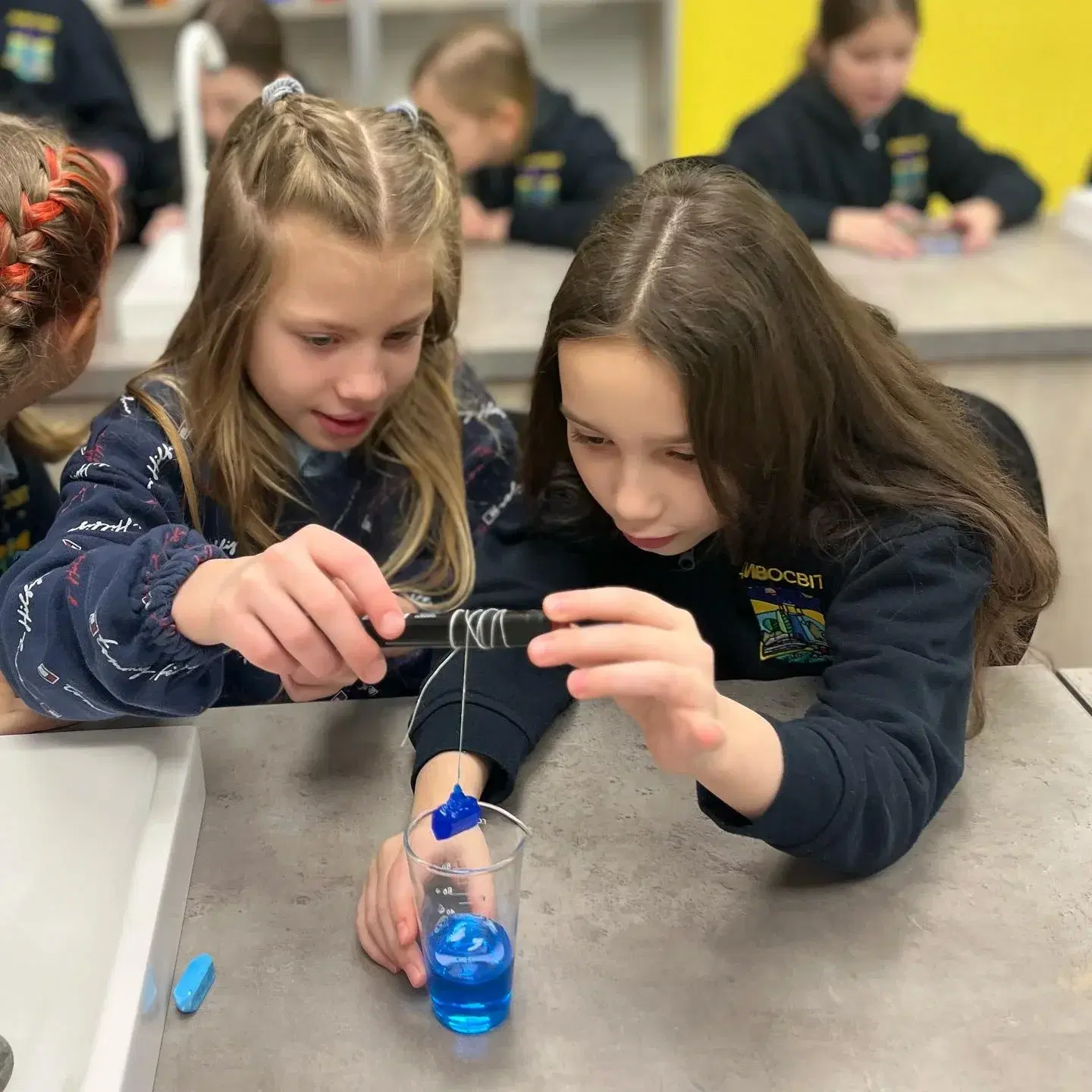 День ліцеїста 2024