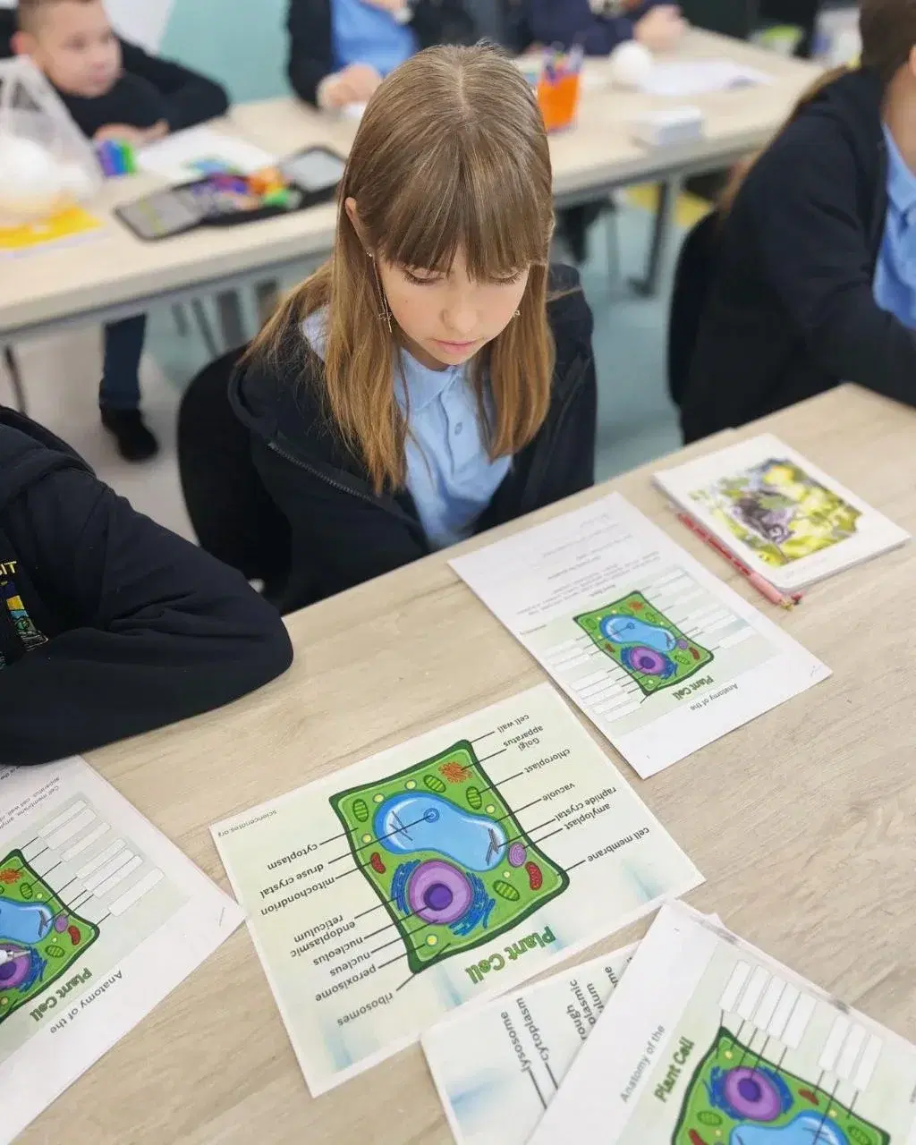 Інтеграція STEM та English