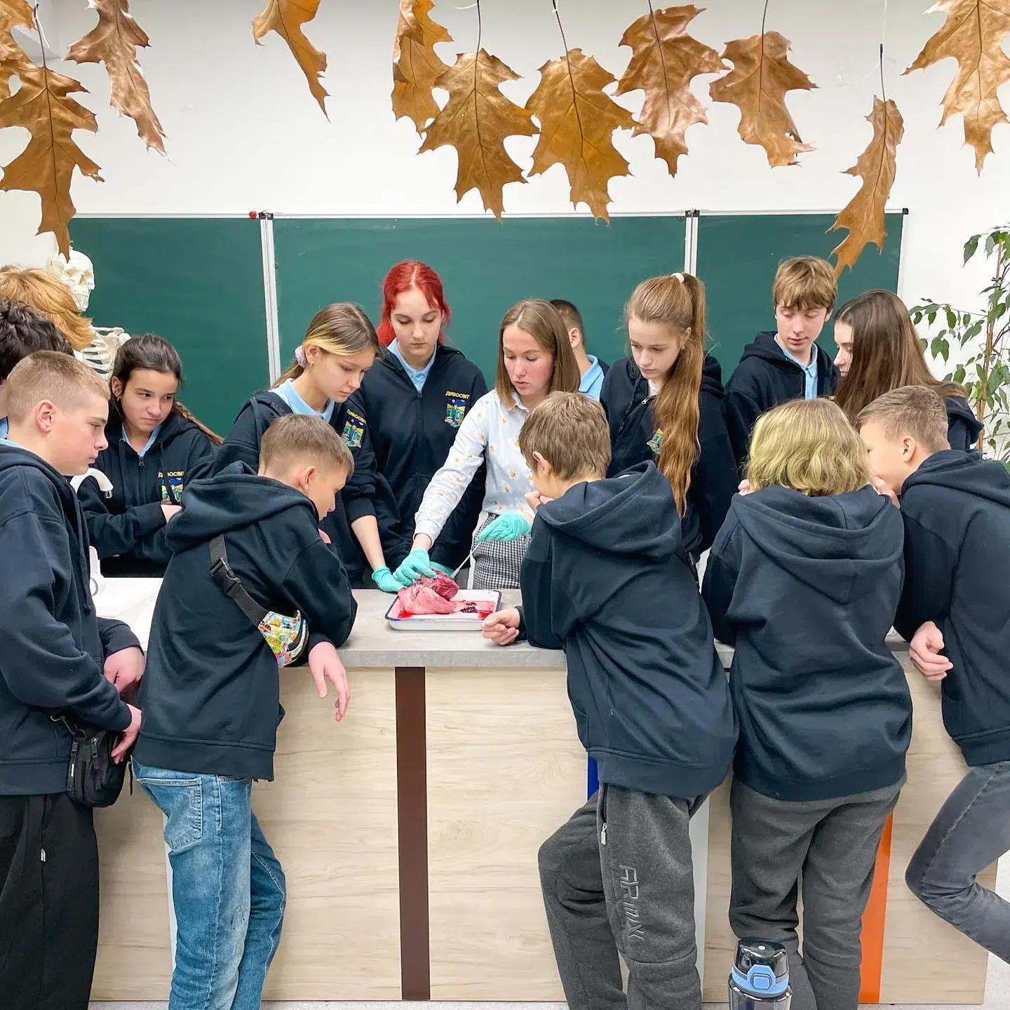 Будова серця: практичне дослідження на уроці біології